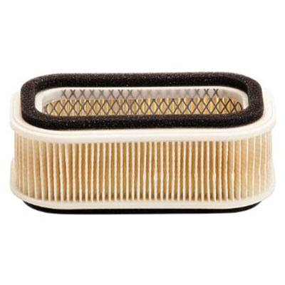 Element Air Filter 110132204